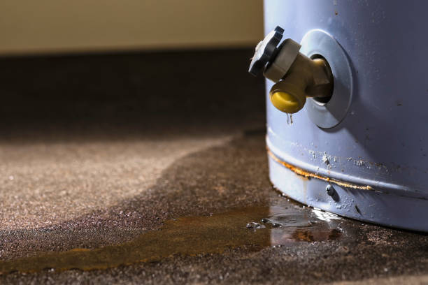 Best Water damage restoration near me  in Church Hill, TN