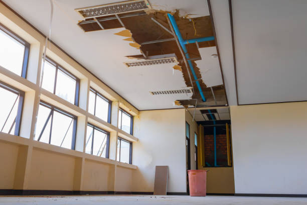 Best Professional water damage repair  in Church Hill, TN