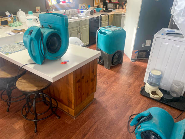 Reliable Church Hill, TN Water damage restoration Solutions