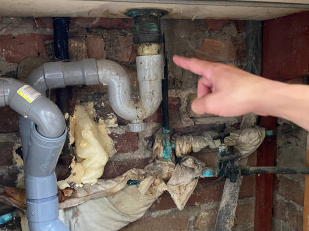 Best Water damage restoration mold remediation  in Church Hill, TN