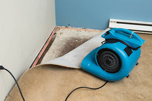 Best Fire Damage Restoration  in Church Hill, TN